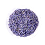 Lavender Powder Manufacturer - Antioxidant Extract