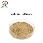 Soy Isoflavone Supplier - Extract Powder Bulk