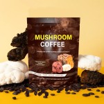 Mushroom Coffee Factory - Sugar Free 6 in 1 Bulk