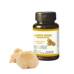 Lions Mane Capsules Factory - Private Label Custom