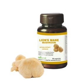 Lions Mane Capsules Factory - Private Label Custom