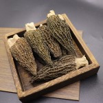 Morel Mushroom Supplier - Dry Whole Morchella