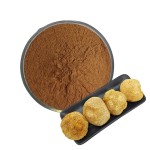 Lions Mane Capsules Manufacturer - Organic Extract