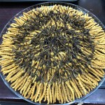 Cordyceps Health Food Factory - Whole Plant Collagen