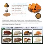 Chaga Extract Powder Factory - 10:1 Polysaccharide