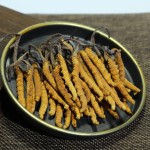 Cordyceps Mushroom Manufacturer - Tibet Wild Organic