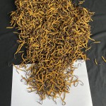Dry Cordyceps Supplier - High Quality Wild