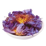 Blue Lotus Tea Supplier - Handmade Blooming Herbal