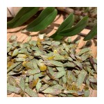 Dendrobium Officinale Manufacturer - Tie Pi Shi Hu
