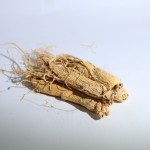 Ginseng Root Supplier - Changbai Mountain Raw