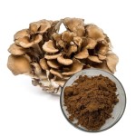 Maitake Powder Supplier - Dried Mushroom Organic