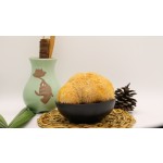 Cocklebur Mushroom Supplier - High Quality Nourishing