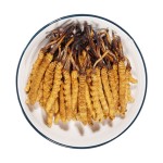 Cordyceps Powder Factory - Tibet Whole Plant Air Dried