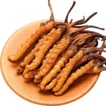 Cordyceps Sinensis Manufacturer - Frozen Dried Natural