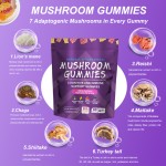 Mushroom Gummies Supplier - Immune Support Custom Bags