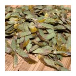 Dendrobium Officinale Manufacturer - Tie Pi Shi Hu