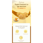 Cocklebur Mushroom Supplier - High Quality Nourishing