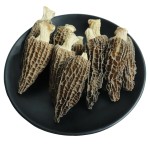 Morel Mushroom Supplier - Dry Whole Morchella