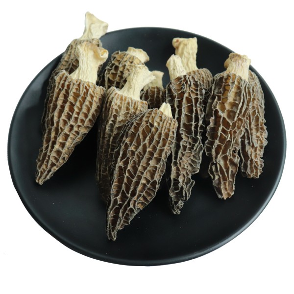 Morel Mushroom Supplier - Dry Whole Morchella