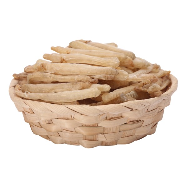 Sipunculus Nudus Factory - Guangdong Fresh