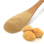 Lions Mane Powder Supplier - Extract Mushroom Powder
