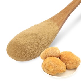 Lions Mane Powder Supplier - Extract Mushroom Powder