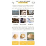 Air Dried Lions Mane Manufacturer - Hericium Erinaceus