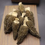 Morel Mushroom Supplier - Dry Whole Morchella