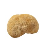Air Dried Lions Mane Factory - Deep Mountain Large