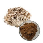 Maitake Powder Supplier - Dried Mushroom Organic