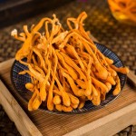 Cordyceps Militaris Factory - Relieve Hypoxia Fatigue