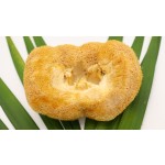 Cocklebur Mushroom Supplier - High Quality Nourishing