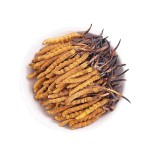 Cordyceps Powder Factory - Tibet Whole Plant Air Dried
