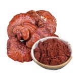 Reishi Extract Manufacturer - Amino Acid Vitamin