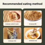 Cordyceps Sinensis Manufacturer - Soup Boiled Tonic