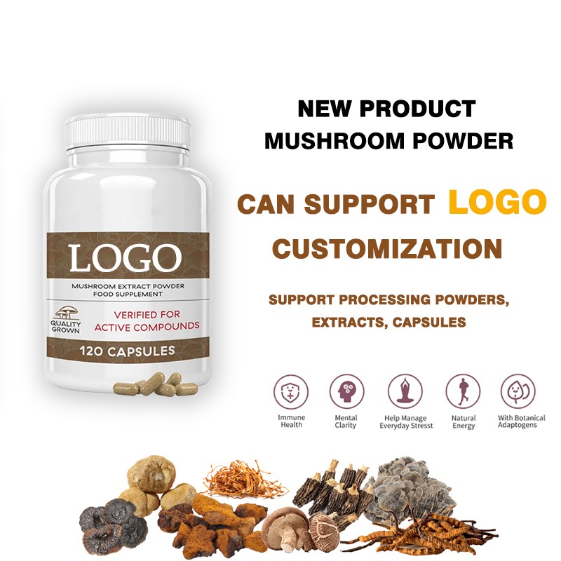 Lions Mane Powder Manufacturer - Tablet Capsule OEM