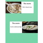 Sipunculus Nudus Factory - Guangdong Fresh