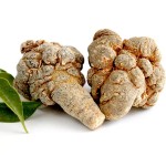 Notoginseng Root Manufacturer - Natural Dried Pseudo