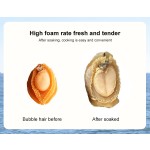 Air Dried Abalone Factory - Yellow Natural Shellfish