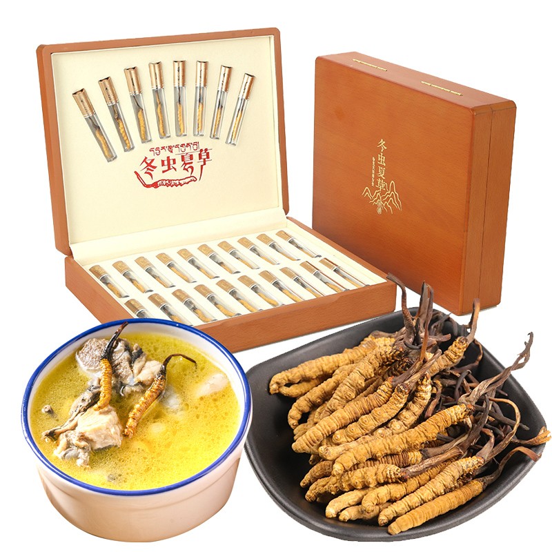 Wild Cordyceps Supplier - Whole Plant Collagen