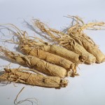 Ginseng Root Supplier - Changbai Mountain Raw
