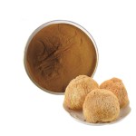 Lions Mane Powder Factory - Dried Extract Bulk