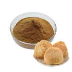 Lions Mane Powder Factory - Dried Extract Bulk