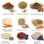 Cordyceps Powder Factory - Militaris Extract Organic