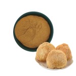 Lions Mane Capsules Manufacturer - Mushroom Extract Organic
