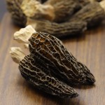 Morel Mushroom Supplier - Dry Whole Morchella
