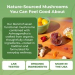 Mushroom Gummies Supplier - Immune Support Custom Bags