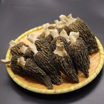 Morel Mushroom Supplier - Dry Whole Morchella