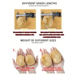 Air Dried Lions Mane Manufacturer - Hericium Erinaceus