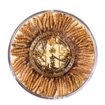 Cordyceps Fungus Powder Manufacturer - Pure Natural